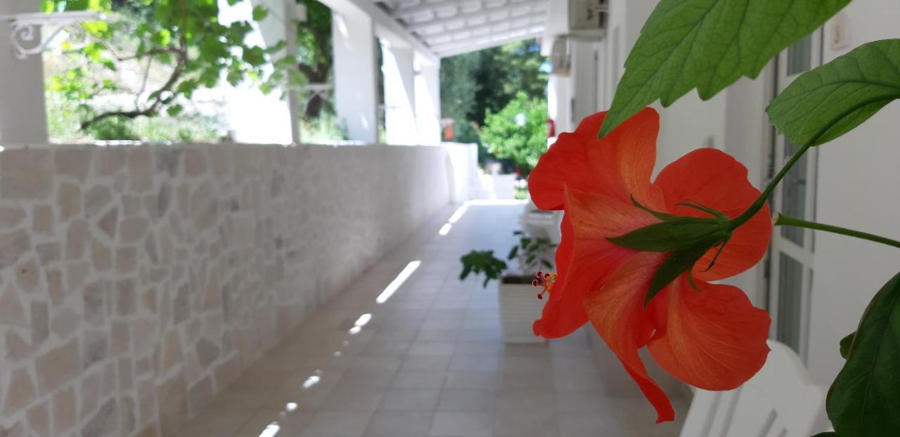 La Locanda Della Castellana Adults Only Peschici Dış mekan fotoğraf